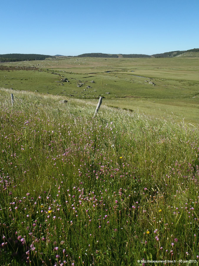 20130630_043