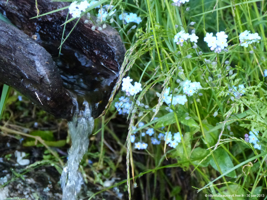 20130630_083