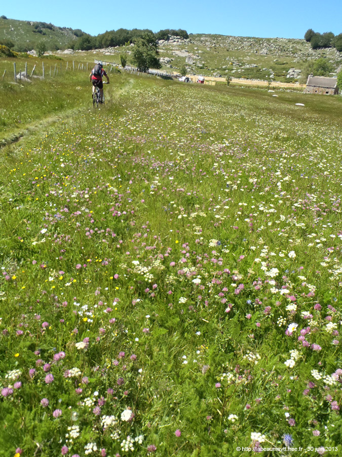 20130630_542