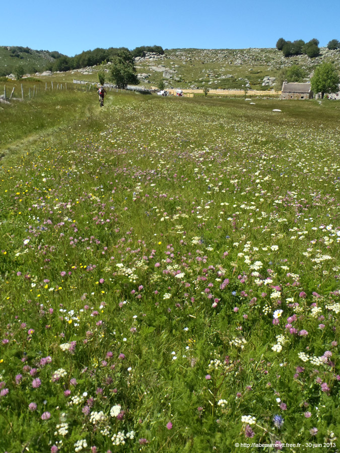 20130630_543