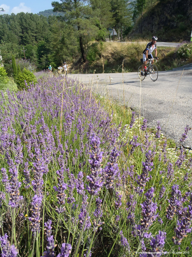 20130719_083
