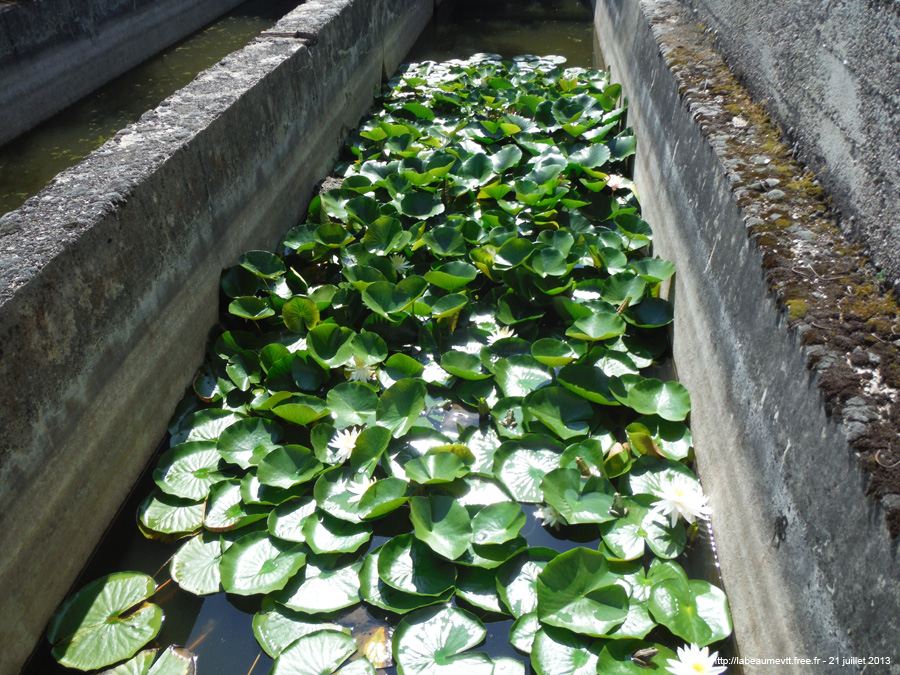 20130721_159
