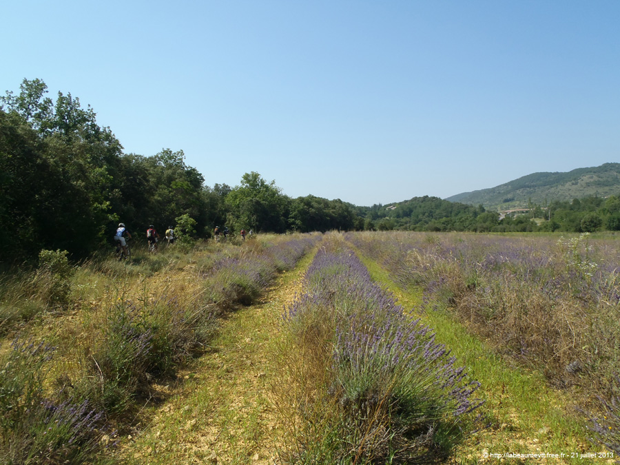 20130721_166