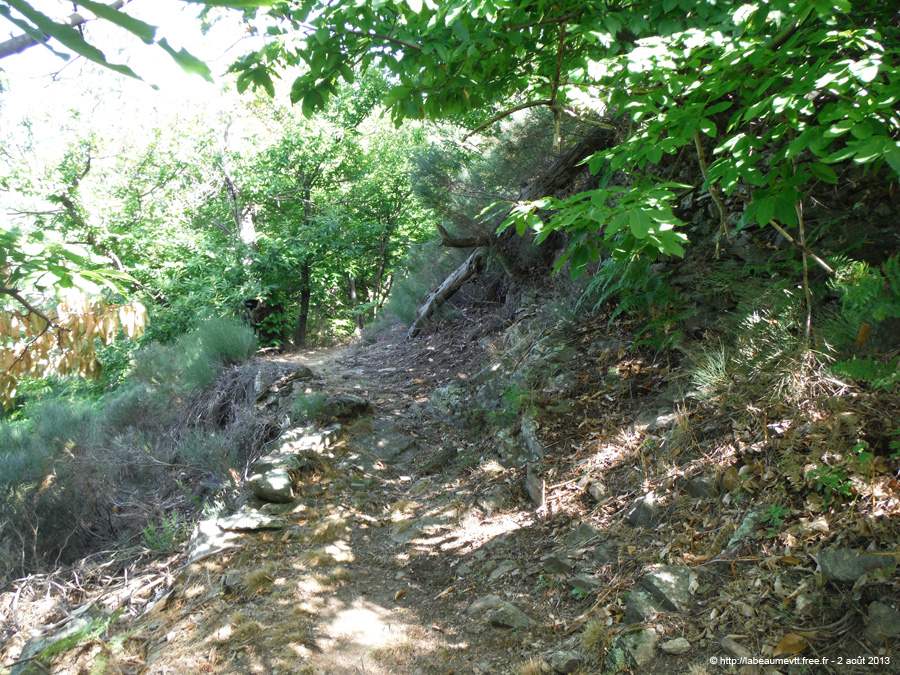 20130802_097