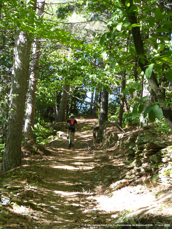 20130811_155