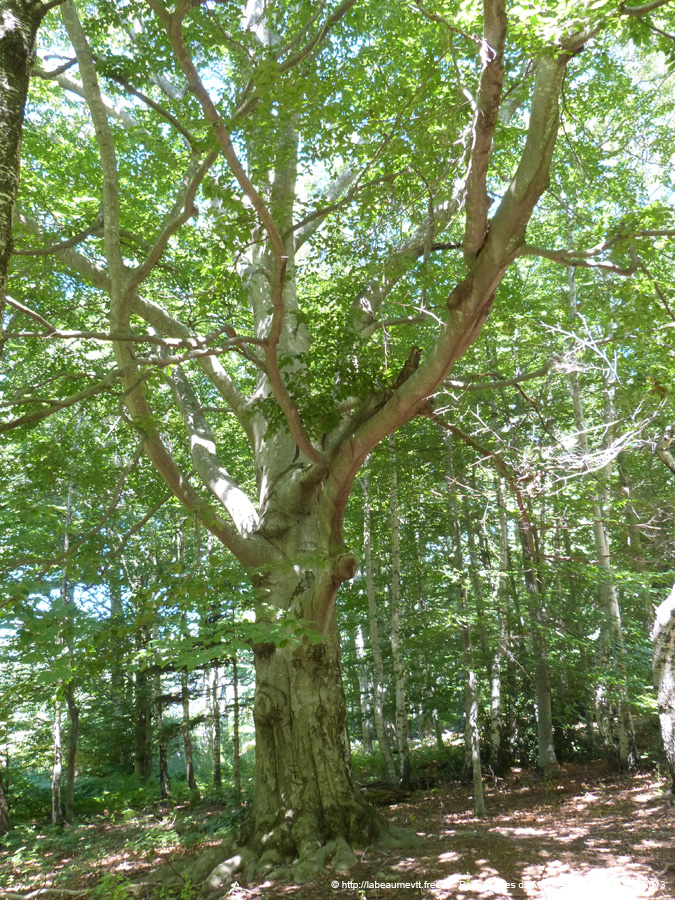 20130811_171