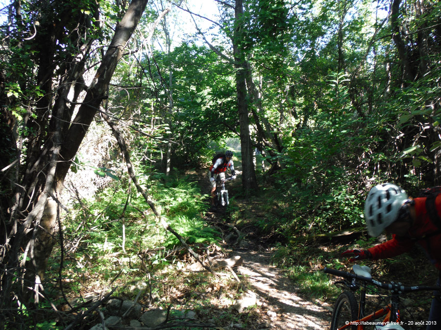 20130820_076