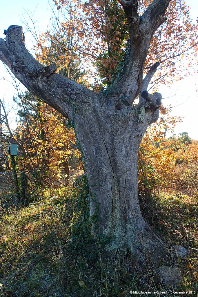20131208_078