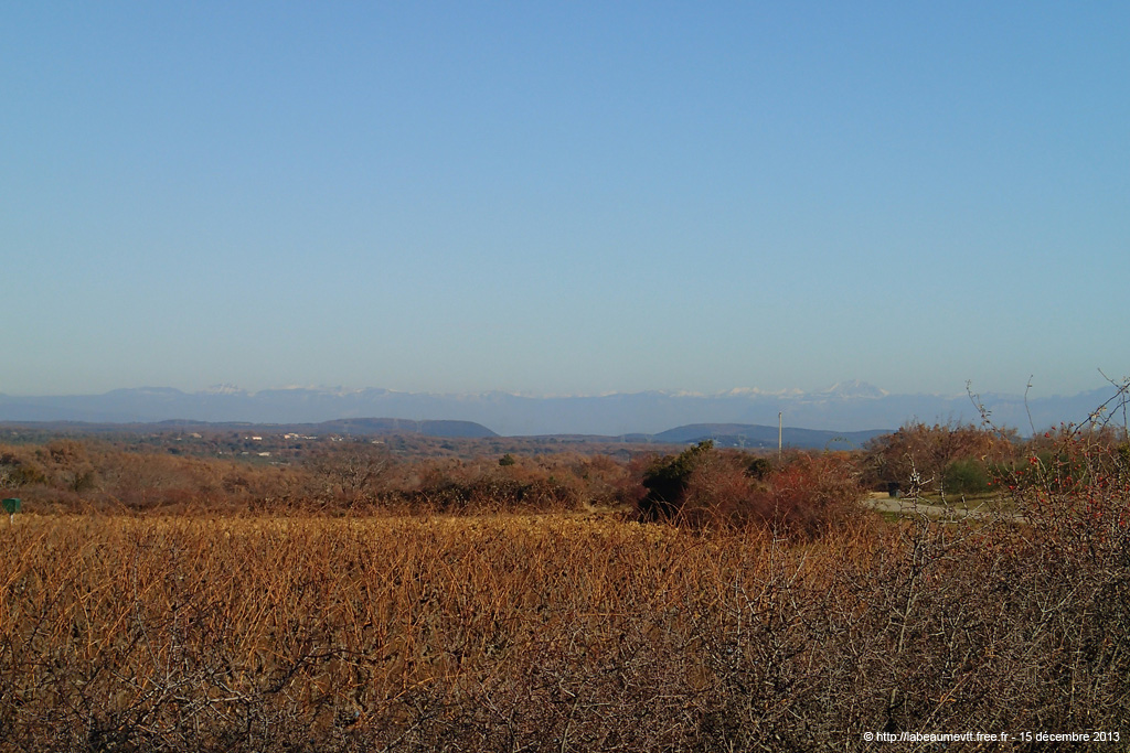 20131215_279