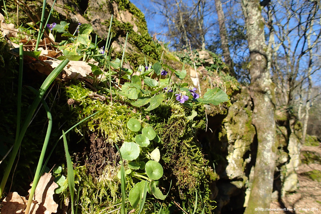 20140302_050