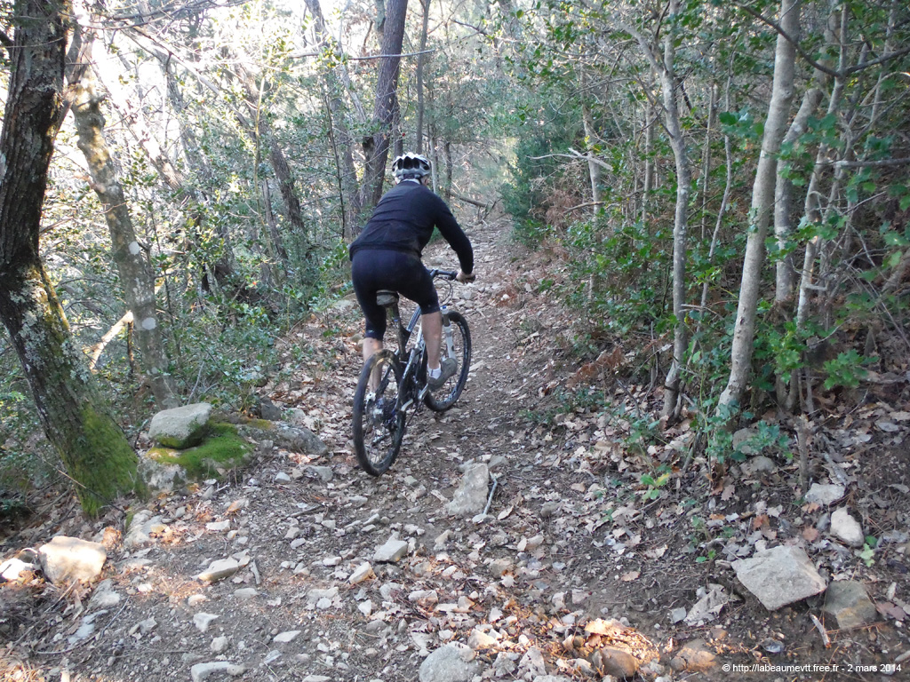 20140302_082