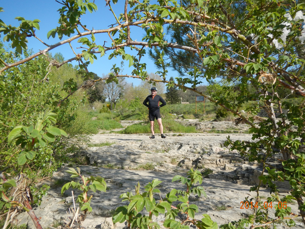 20140406rte064