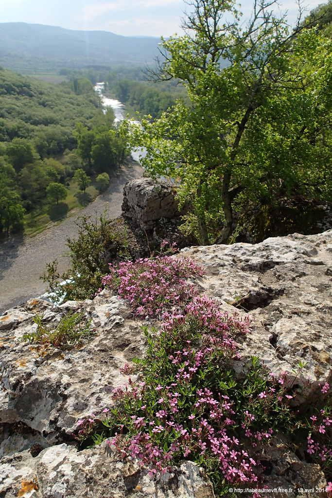 20140413_107