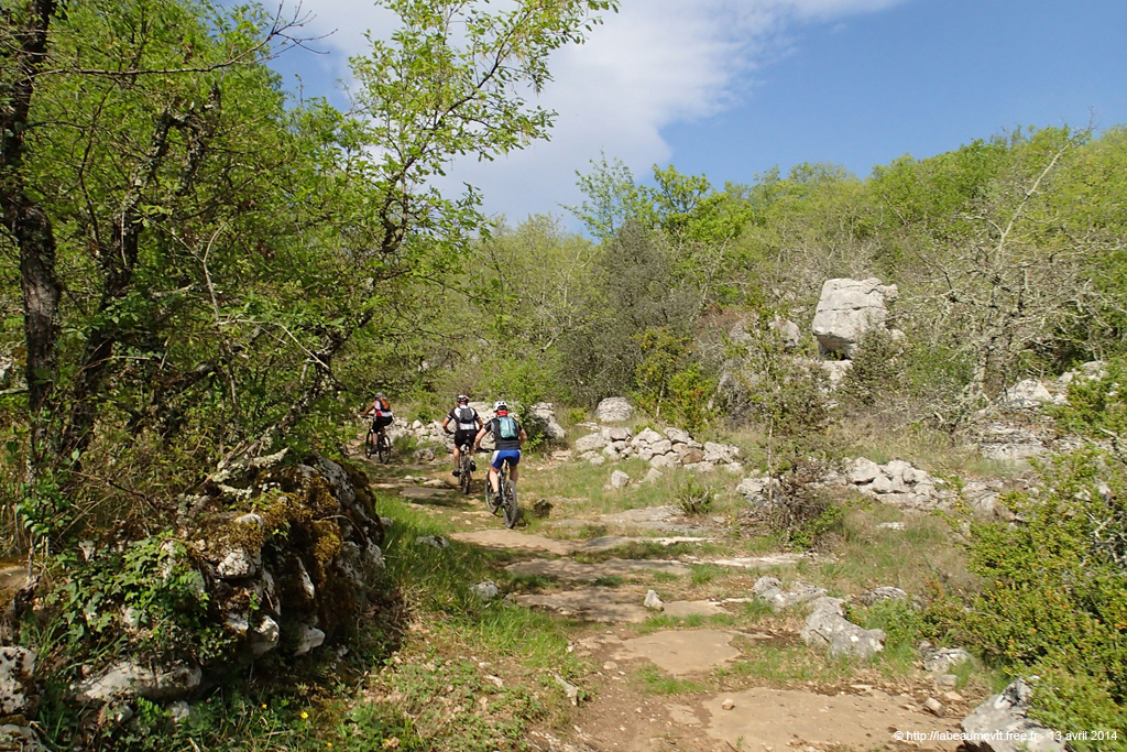 20140413_243