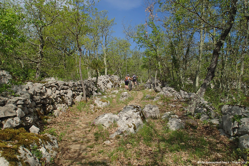 20140413_256