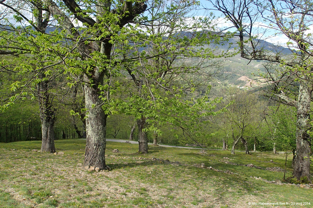 20140423_087