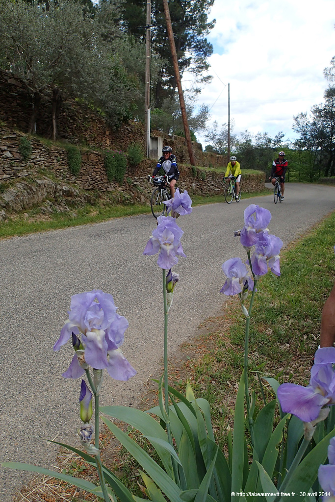 20140430_058
