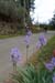 20140430_058