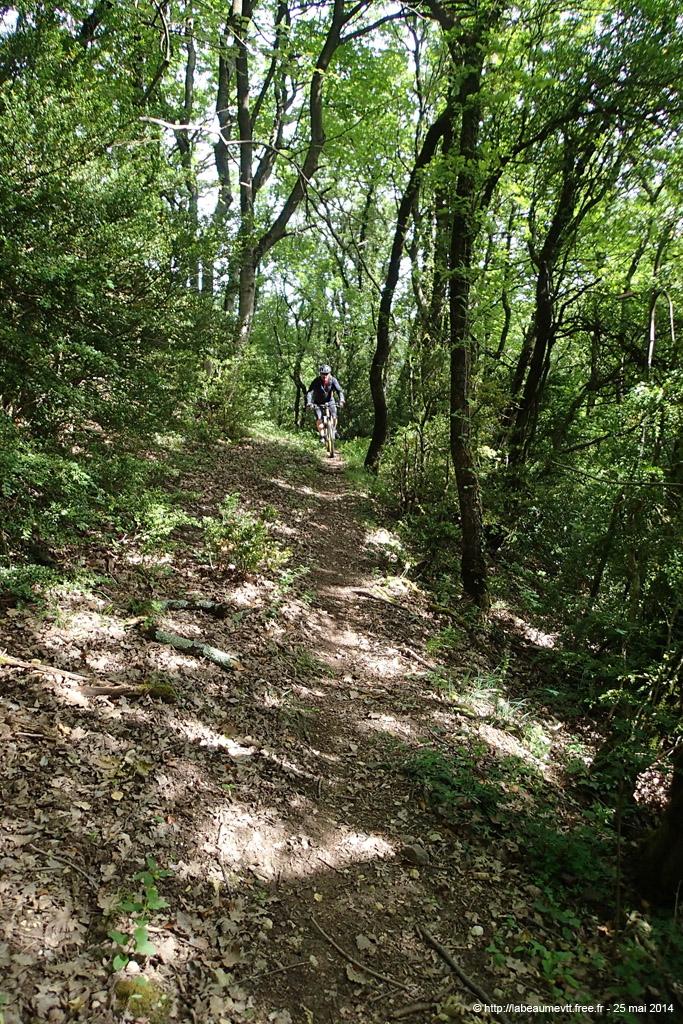 20140525_106
