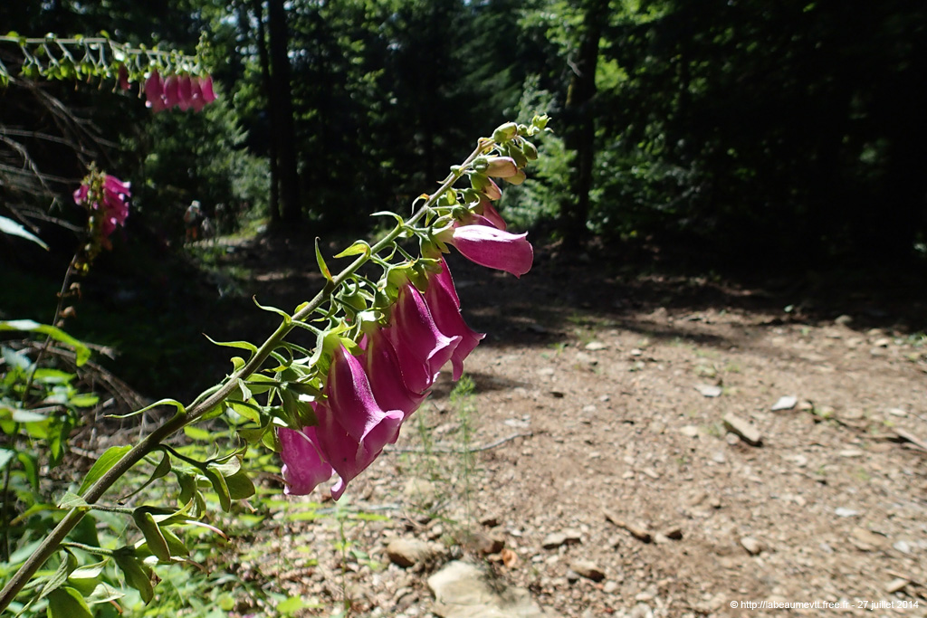 20140727a119
