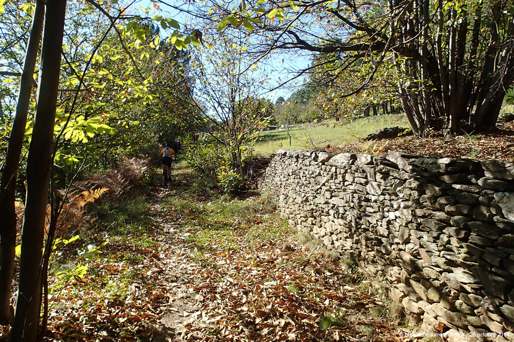 20141026_246