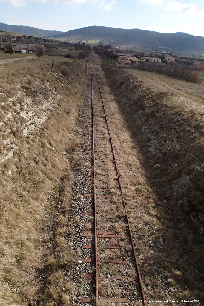20150208_303