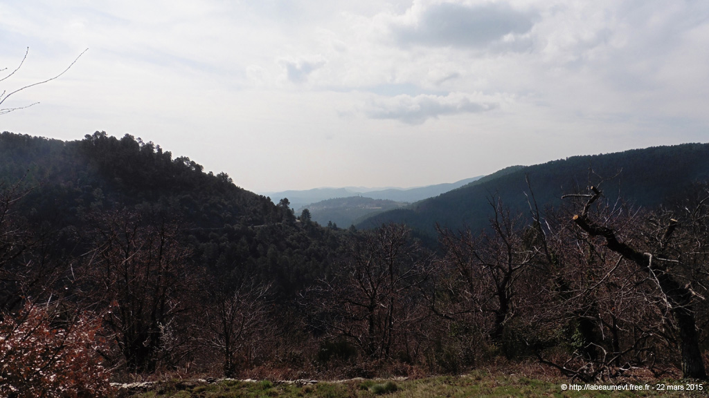 20150322_23