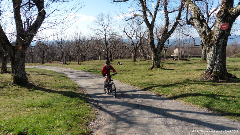 20150405_097