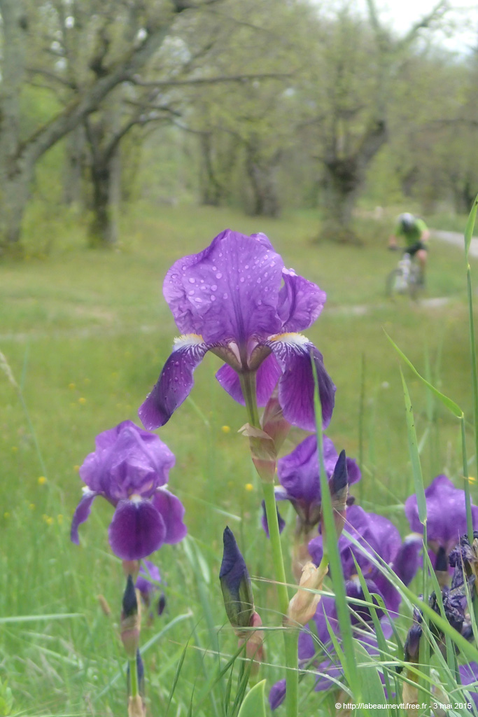 20150503_111
