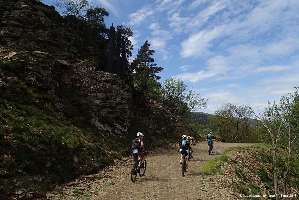 20150503_244