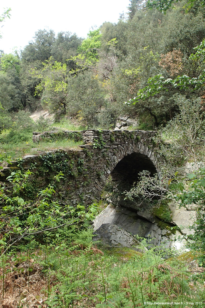 20150503_327