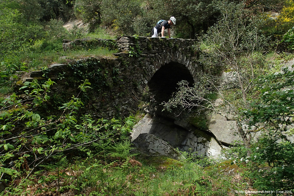20150503_331