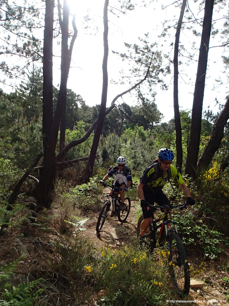 20150510_070