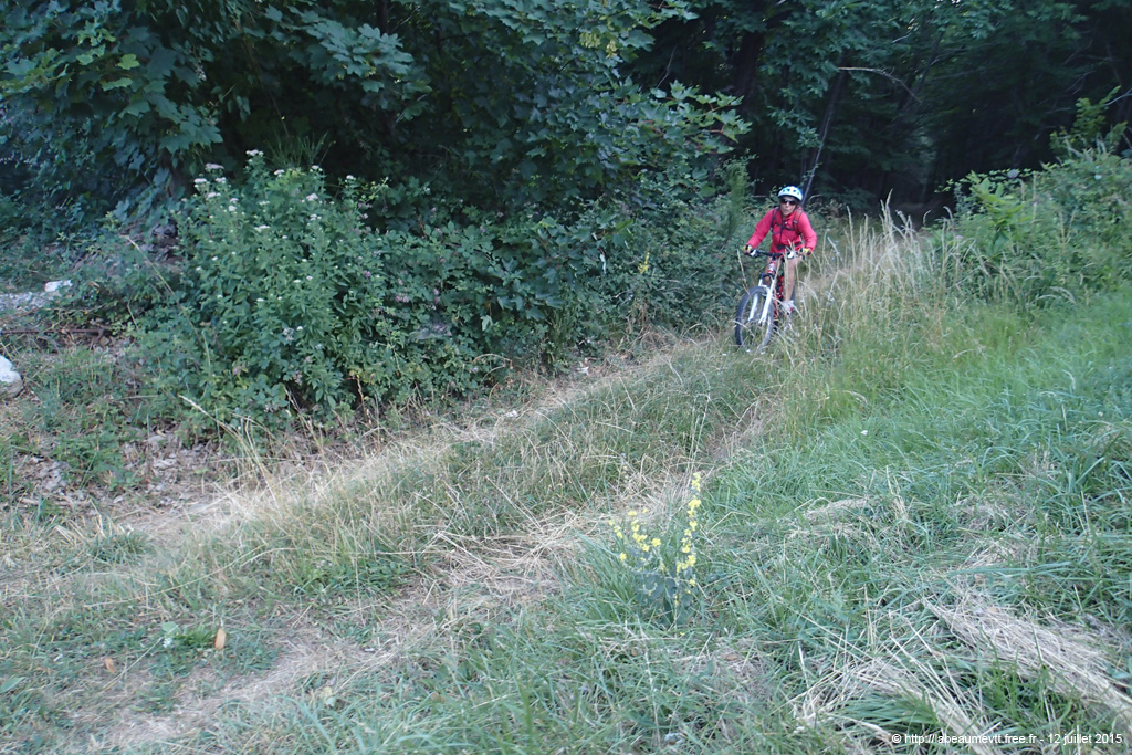 20150712_006