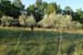 20150927_040