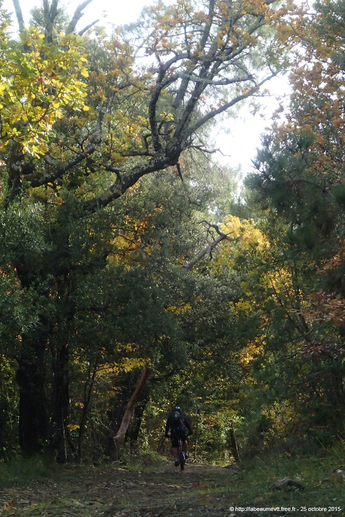 20151025_230