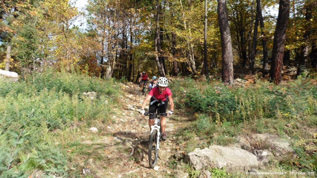 20151025_270