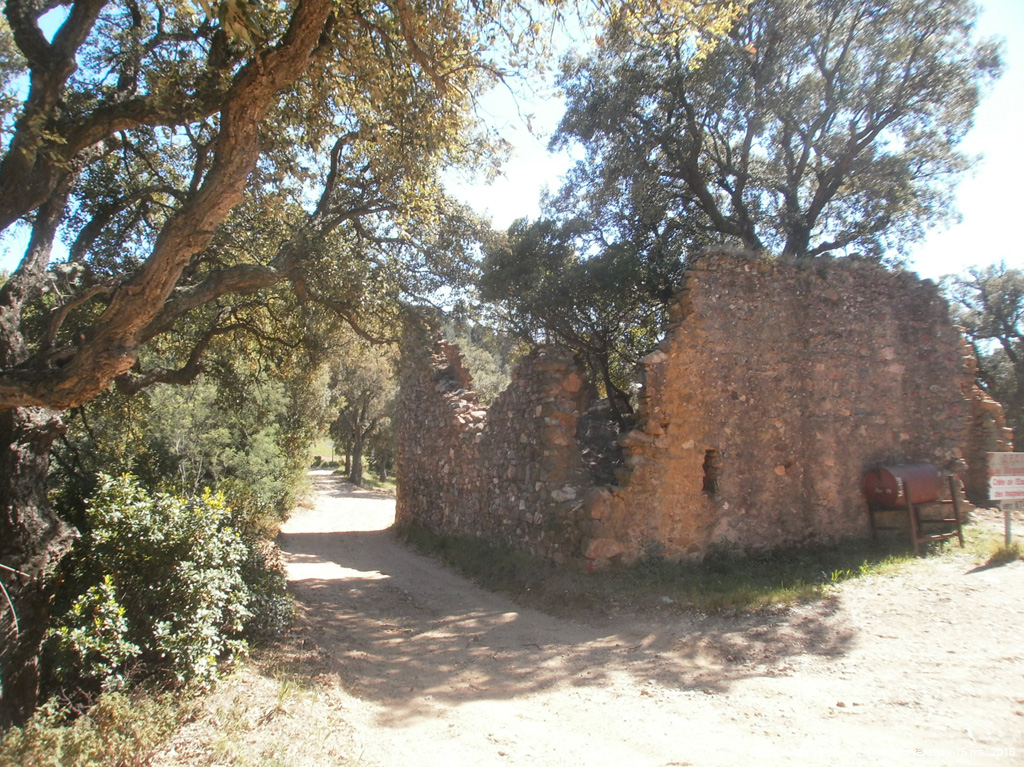 p5060228