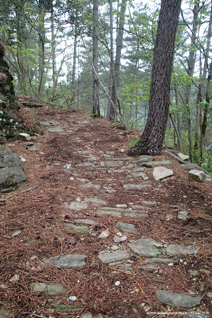 20160512_022