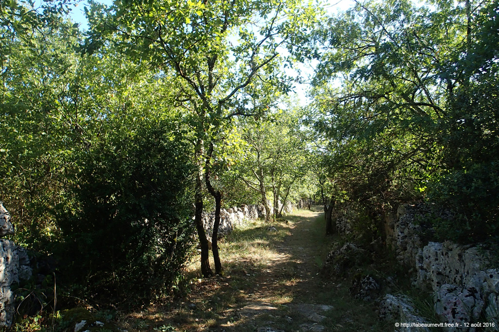 20160812_17