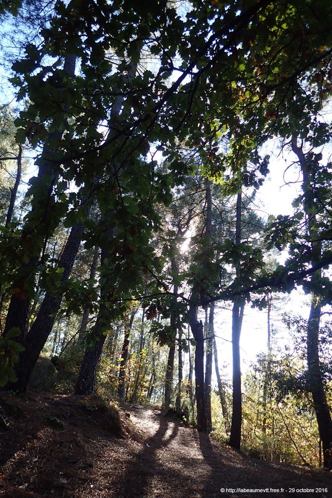 20161029_056