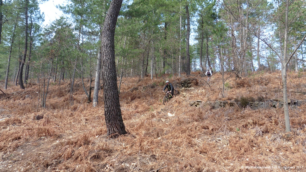 20170312_501