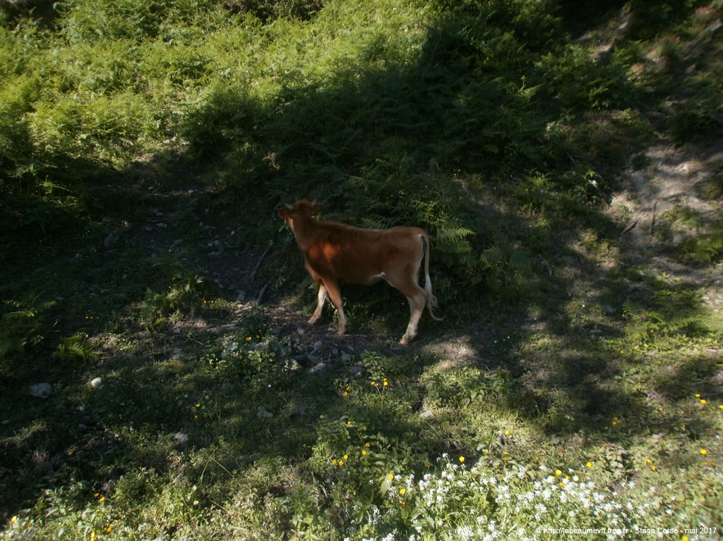 p5020239