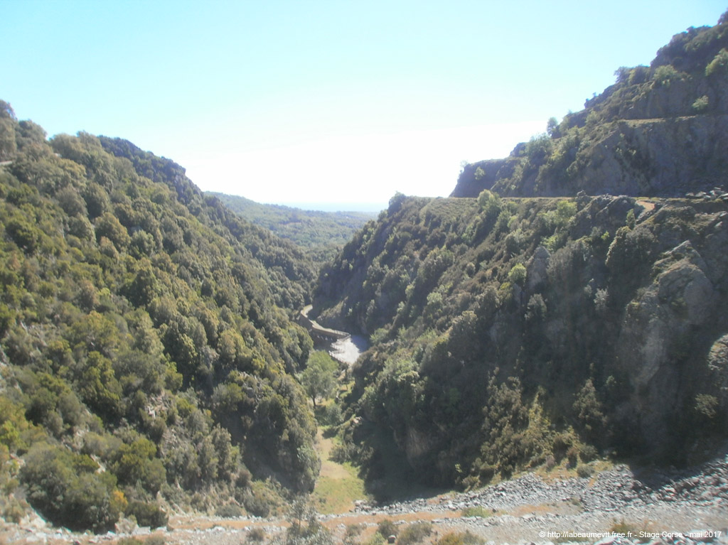 p5020292