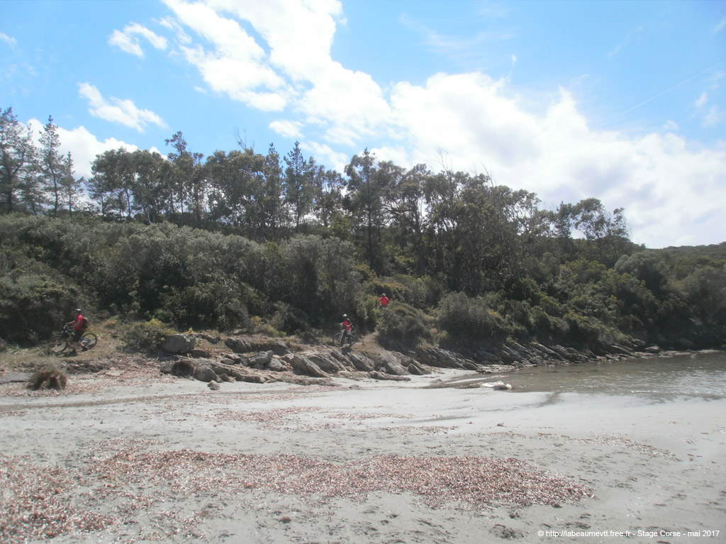 p5040378