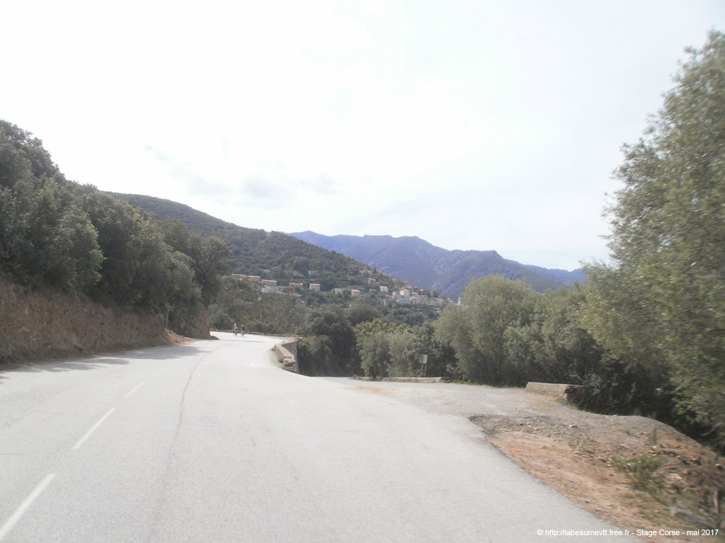 p5050499