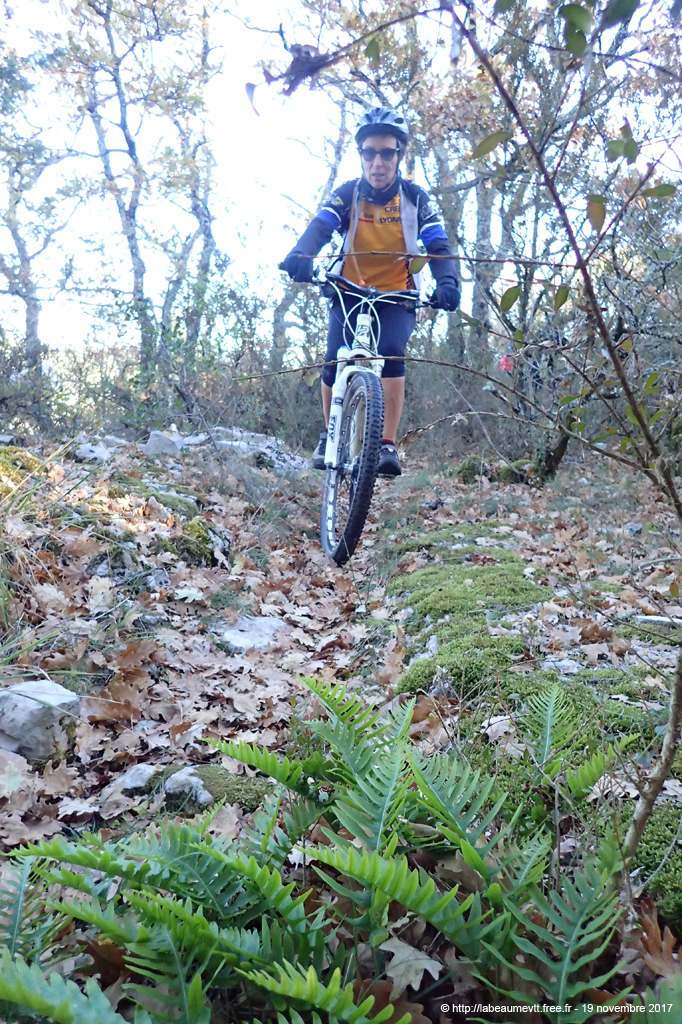 20171119_137
