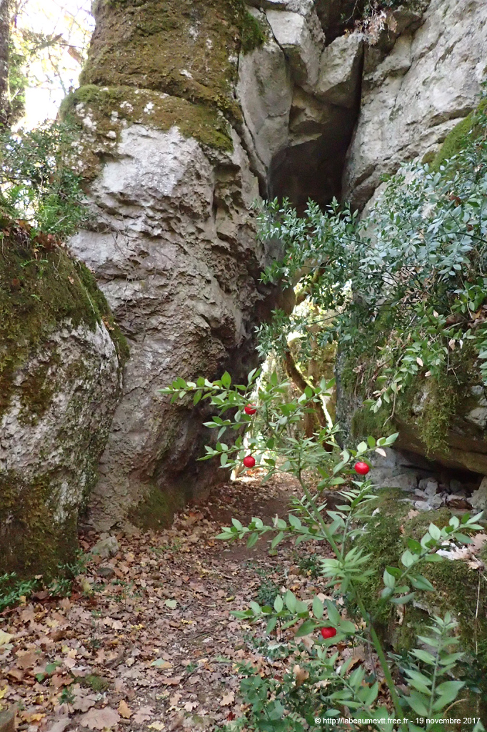 20171119_356