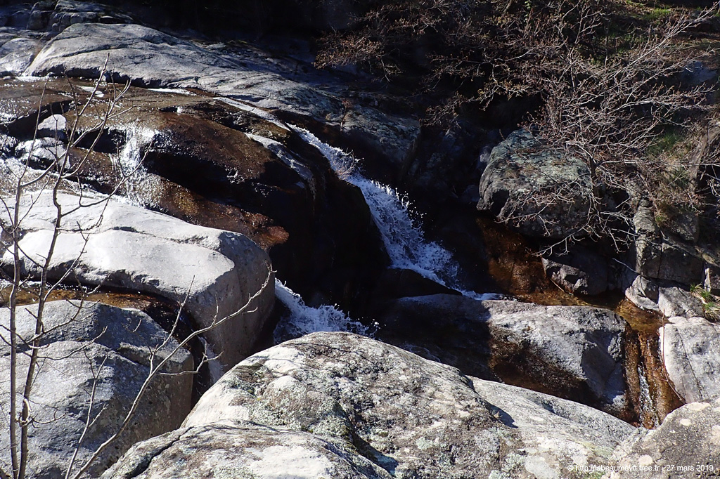 20190327_070