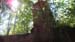 20190804_518